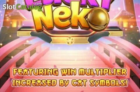 bingo cassino ao vivo 