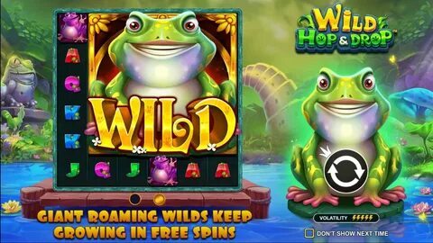 casa de aposta com roleta brasileira 