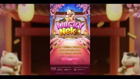 crazy time bet tracker 