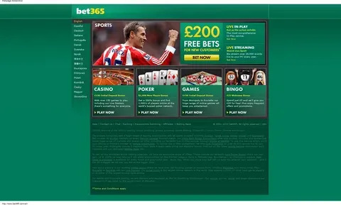 estrela bet suporte chat 