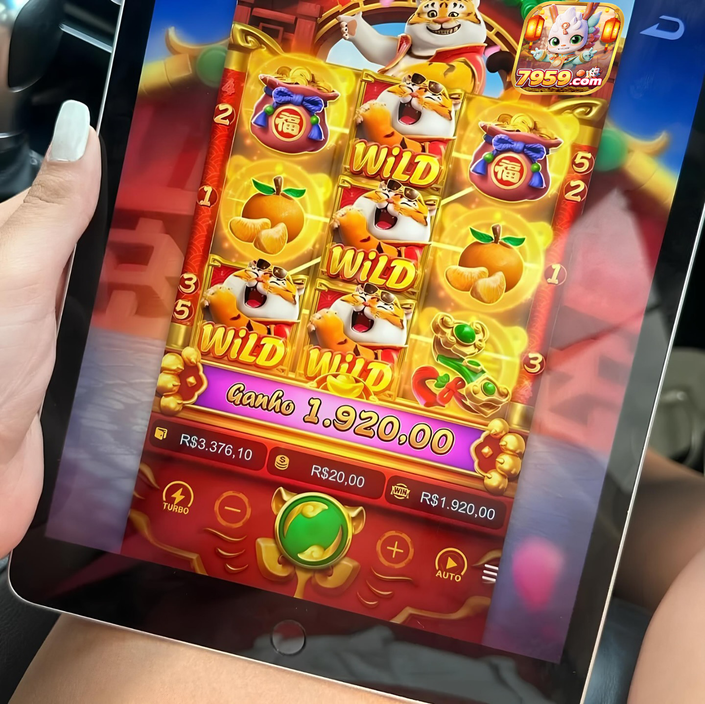 fortune tiger game download link 