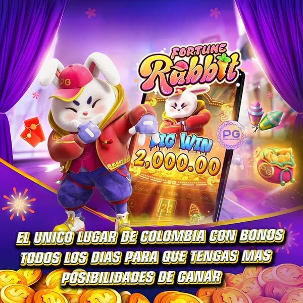 jogo do bicho brasília 