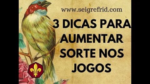 resultado do jogo do bicho da lotep das 18 horas 