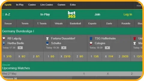 sorteador bingo online 