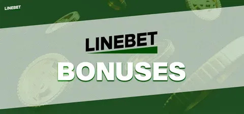 stake casa de apostas 