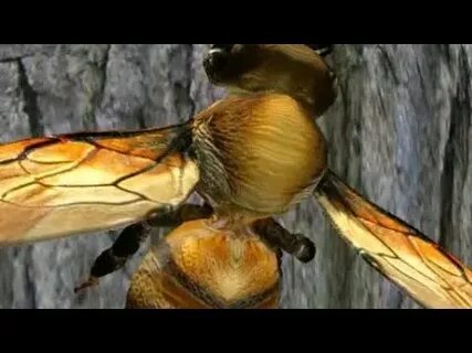 tabela brasileirão série a de 2012 