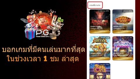 wild bandito pg soft 